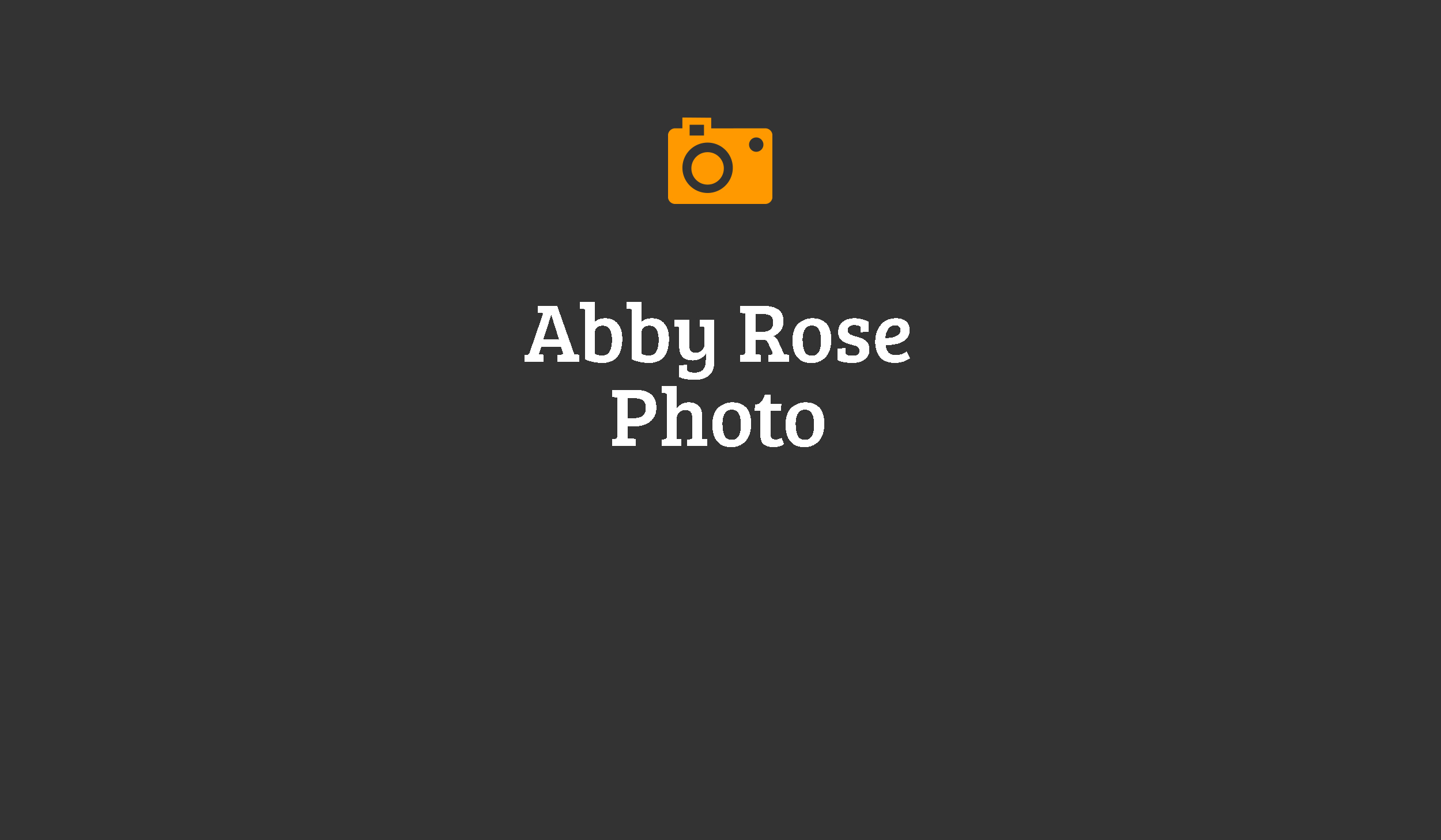 abby rose photo wedding photographer michigan