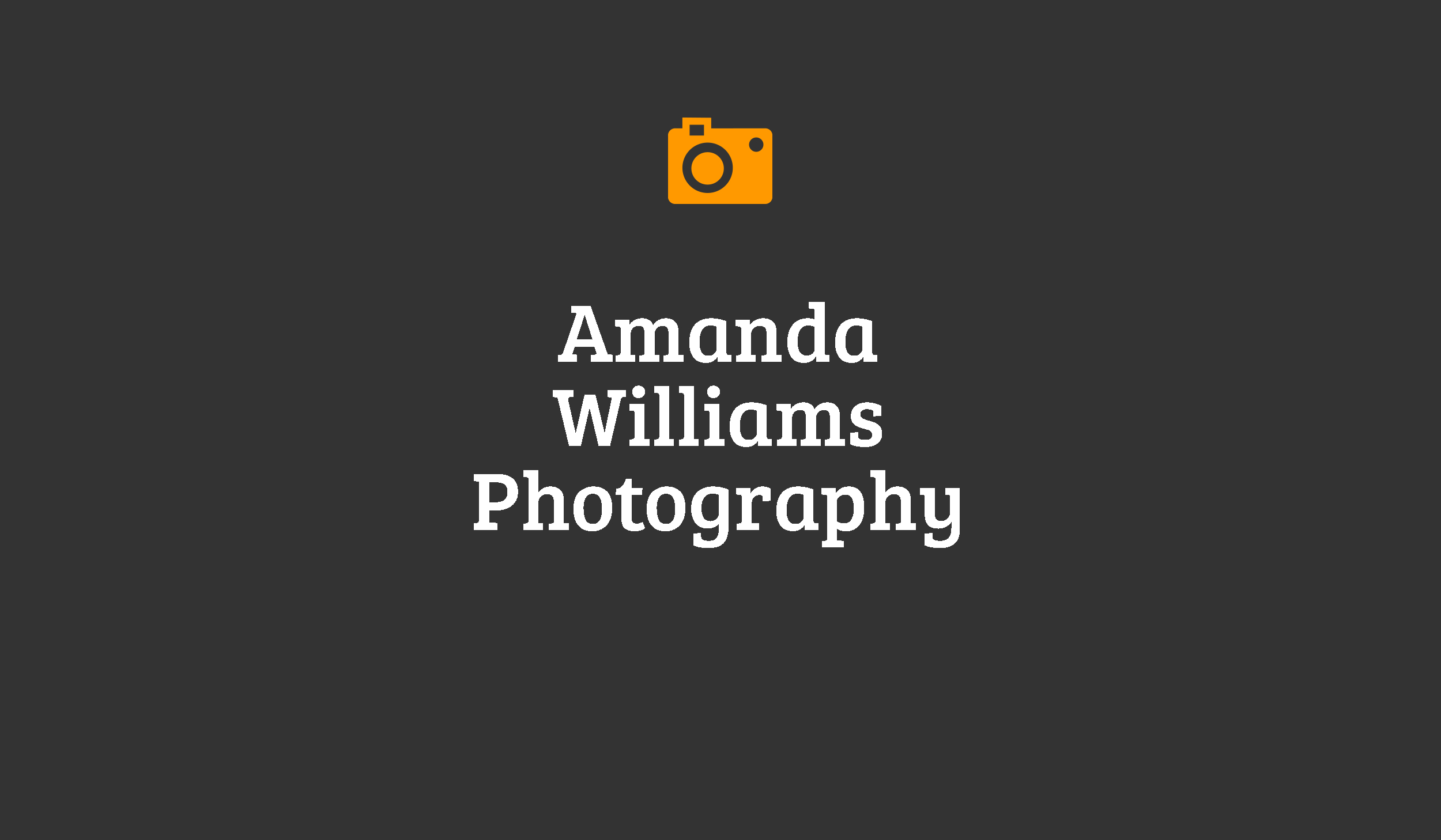 amanda williams photography wedding photographer michigan