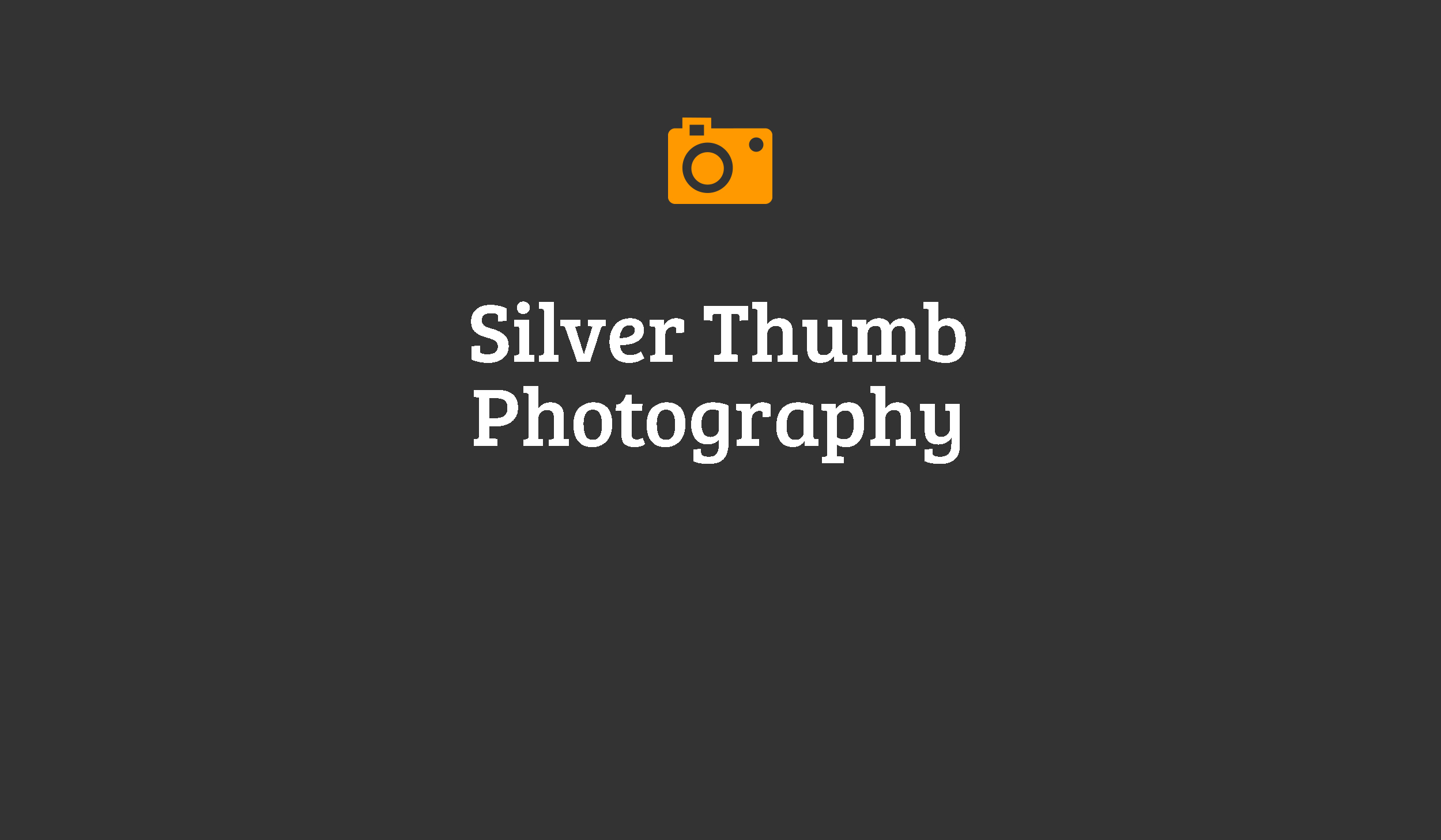 silver thumb photography wedding photographer michigan